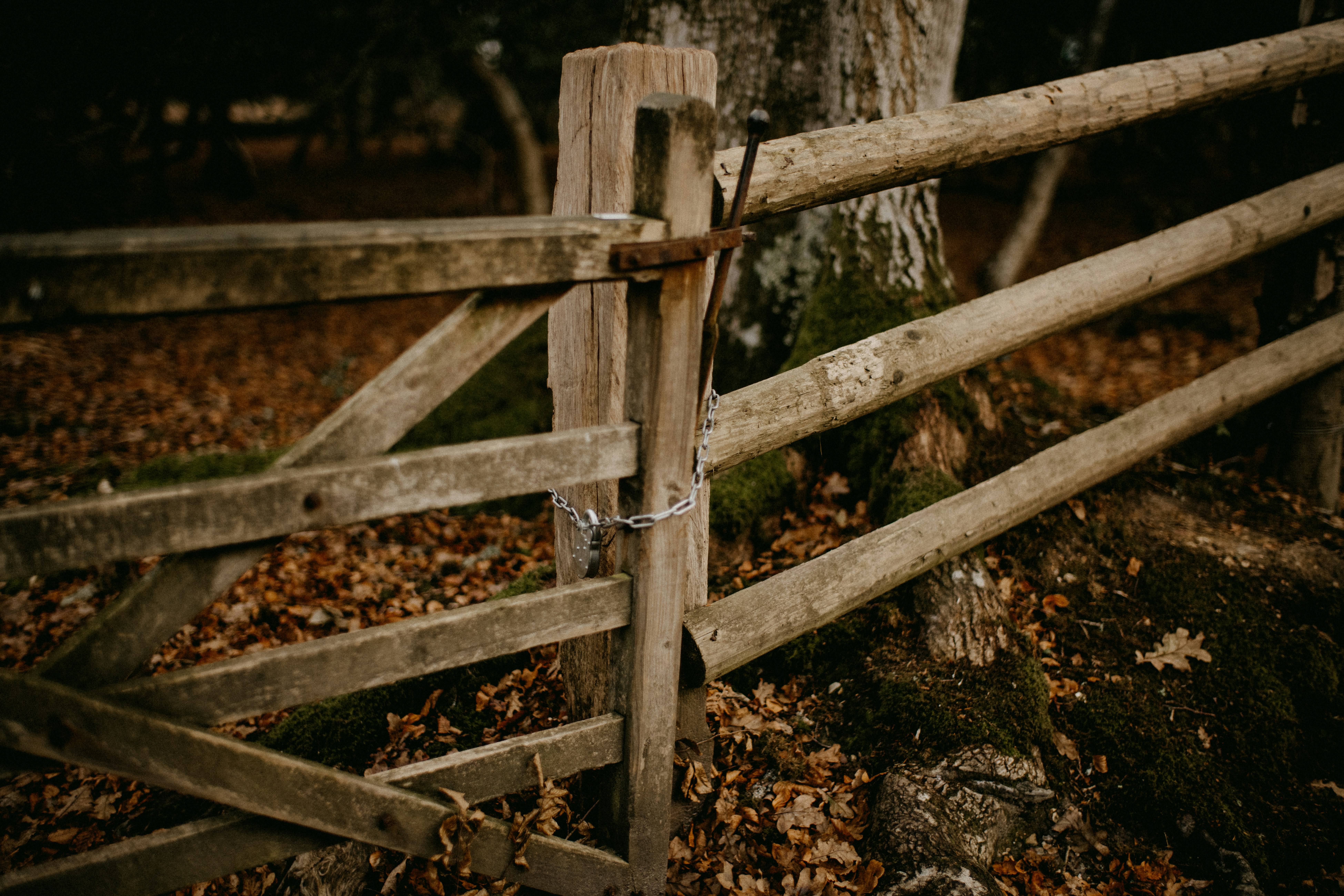 Photo by anniespratt