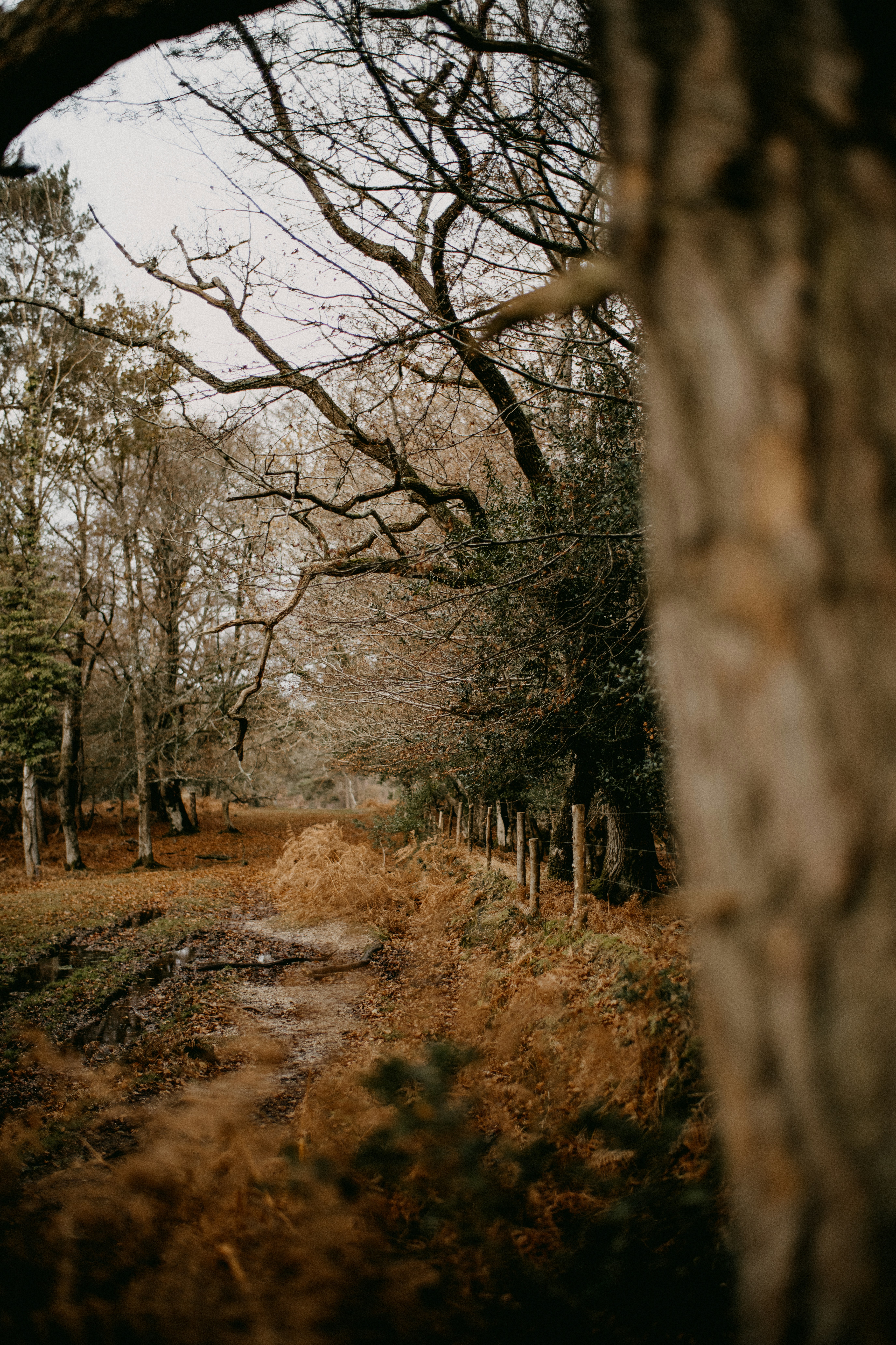 Photo by anniespratt