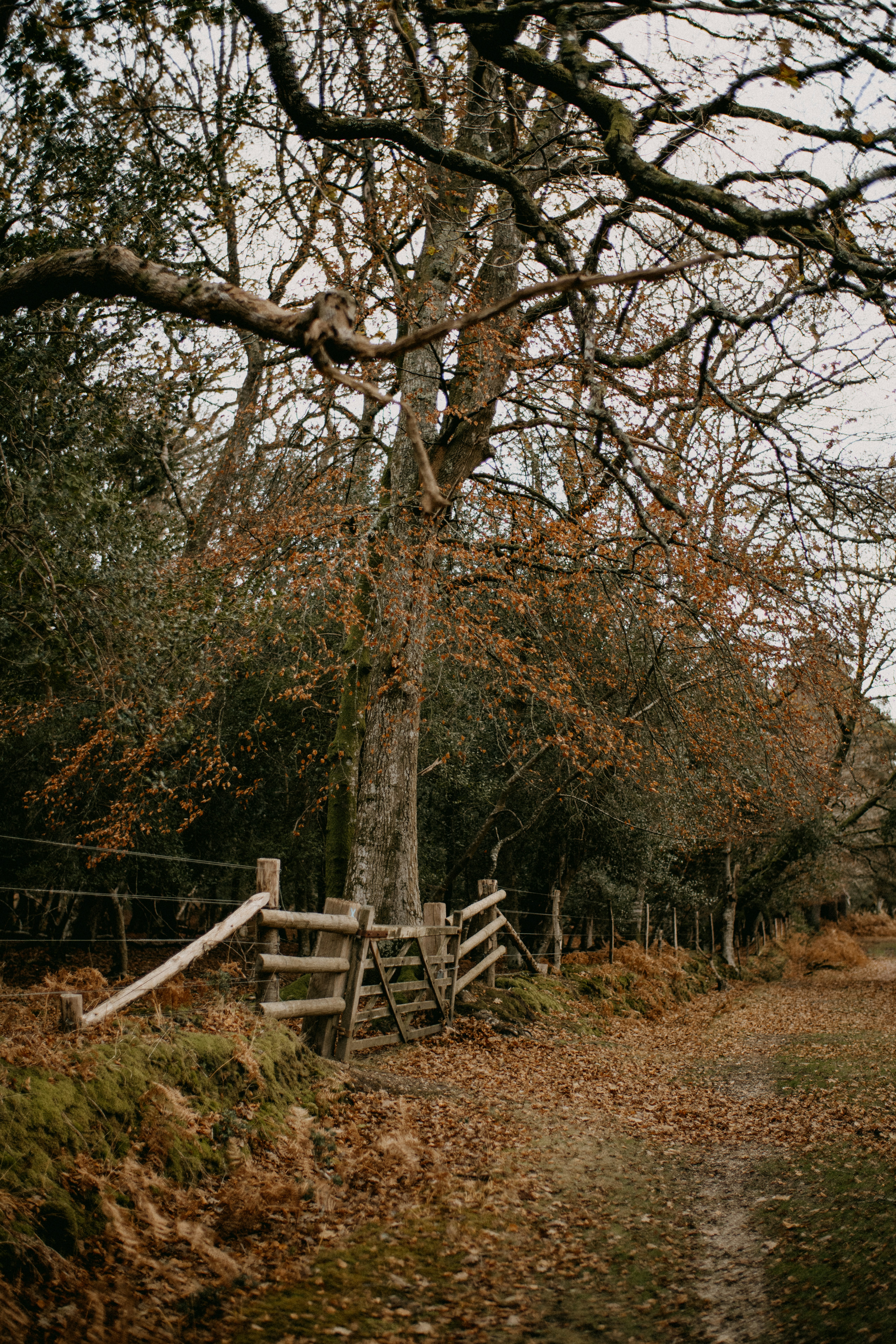 Photo by anniespratt