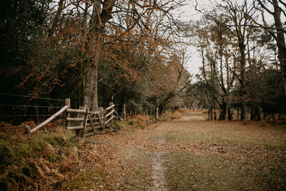 a wooden fence in the middle of a forest