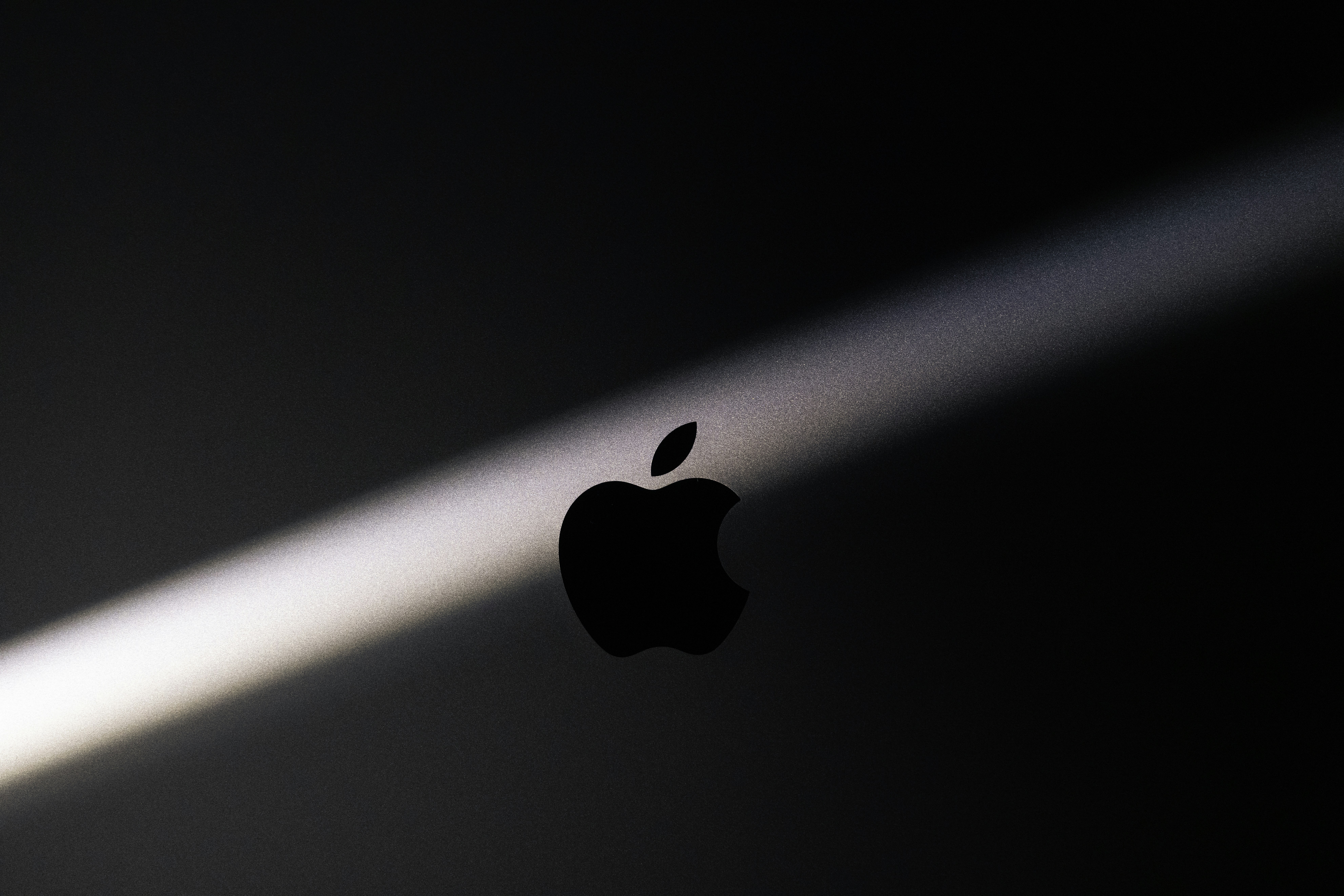 White Rainforest 易雨白林 Whiterainforest Unsplash Photo Community