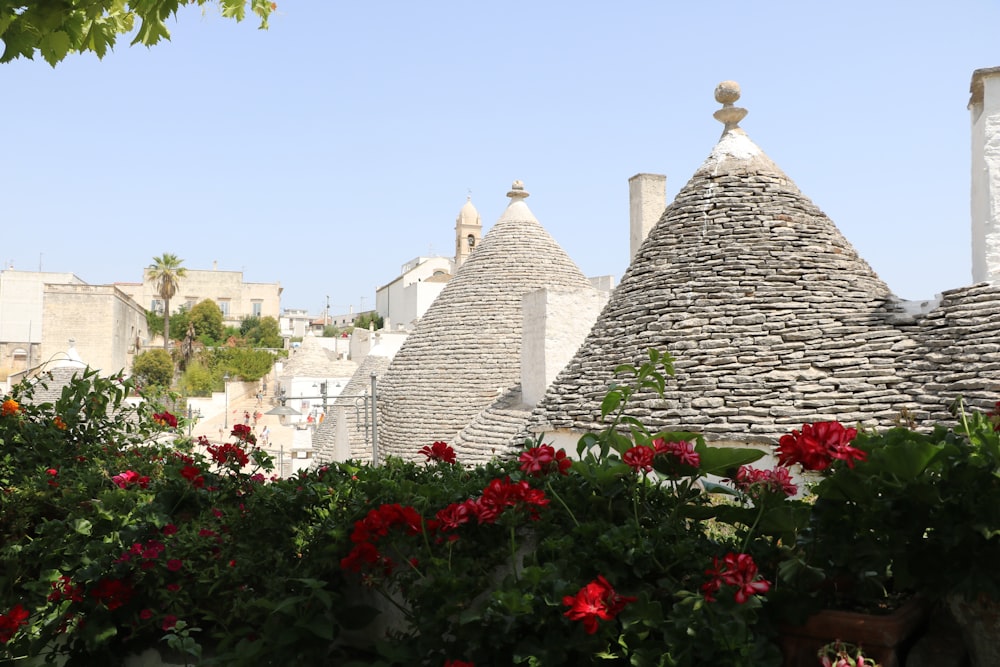 a view of some buildings and flowers in the foreground