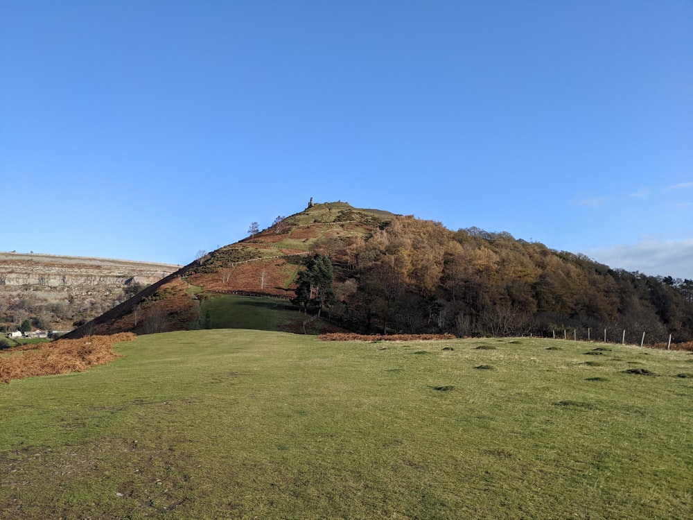 a grassy field with a hill in the background