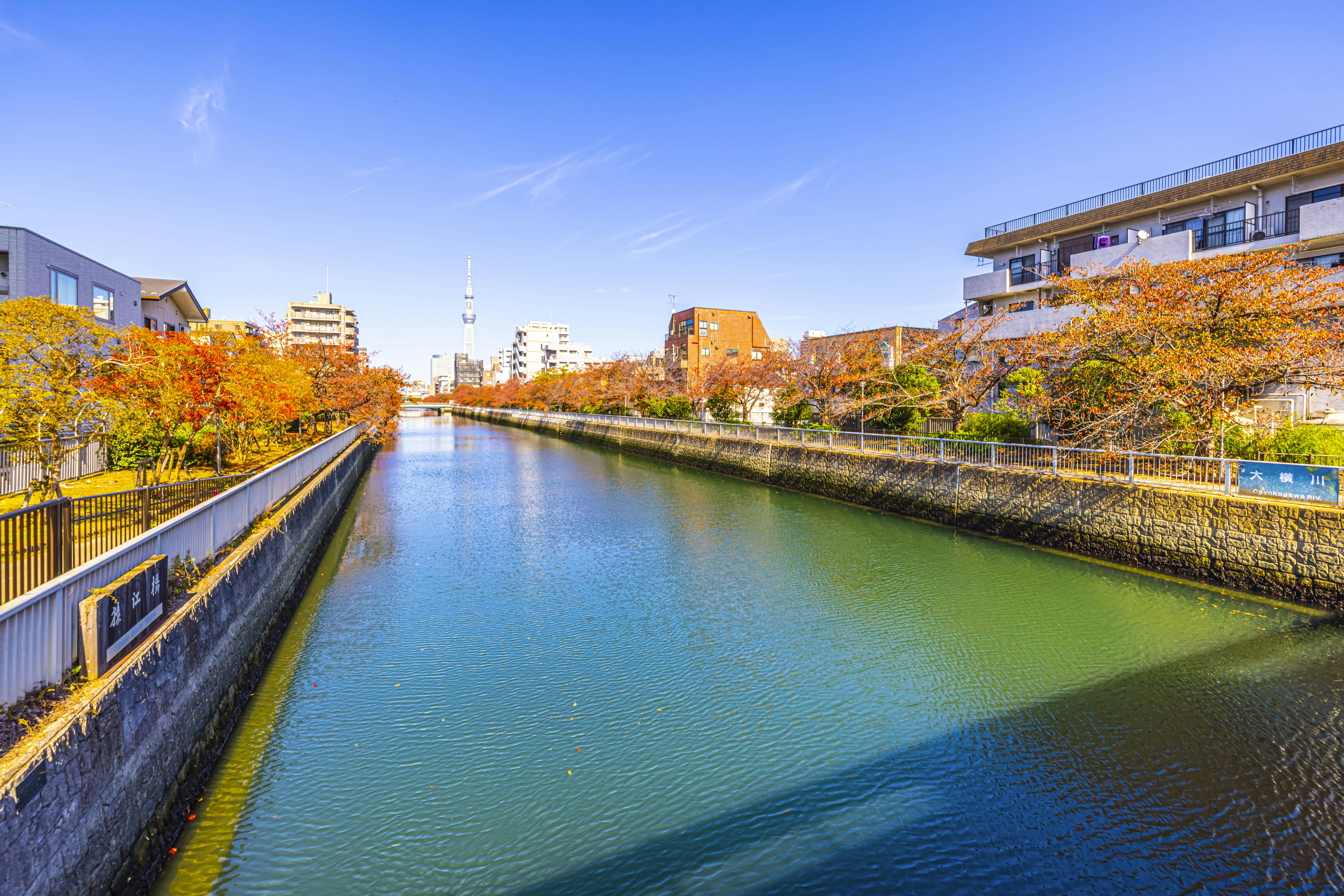 Photo by purnachakma