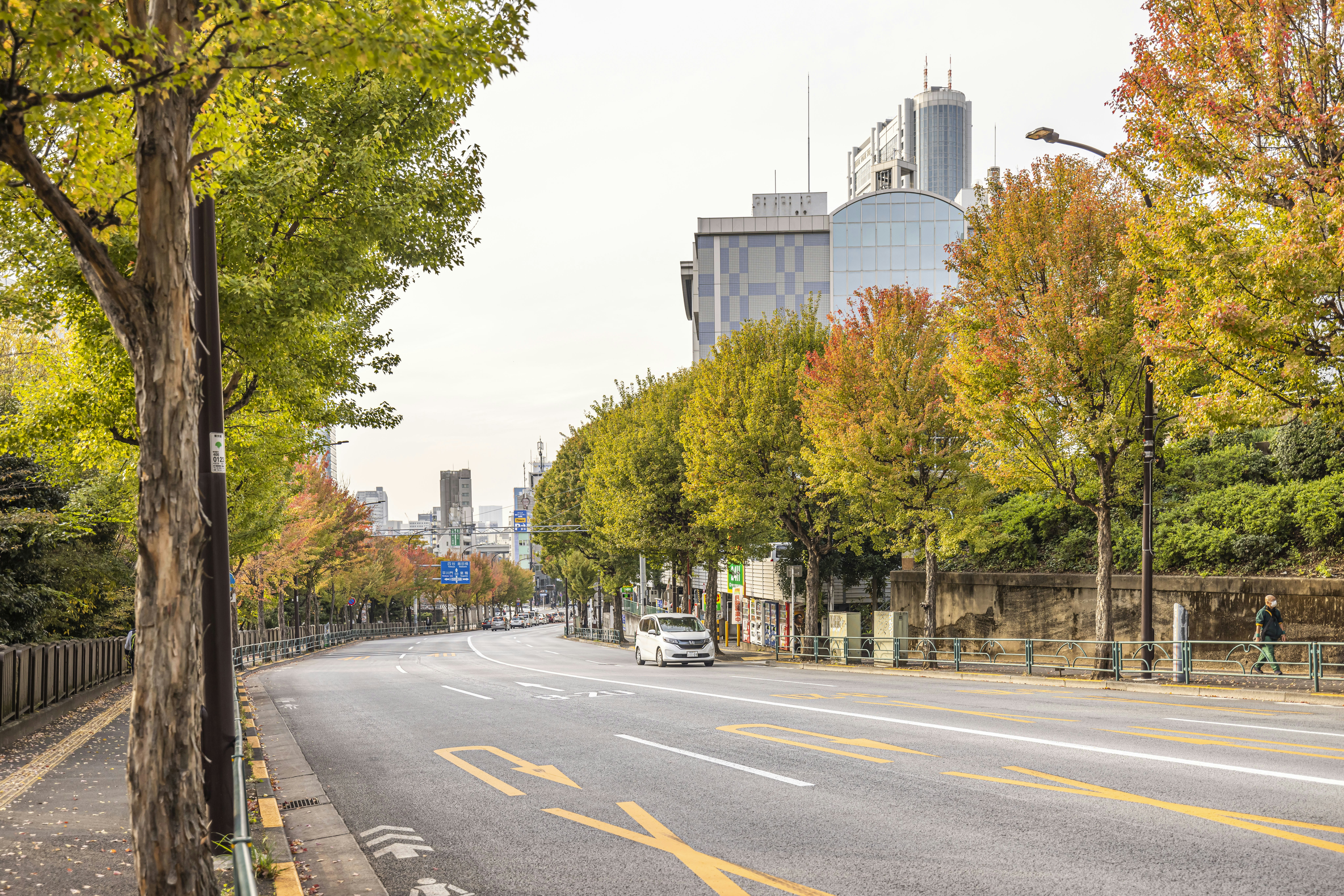 Photo by purnachakma