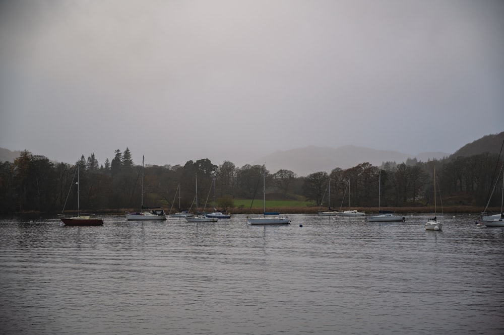 a body of water filled with lots of boats