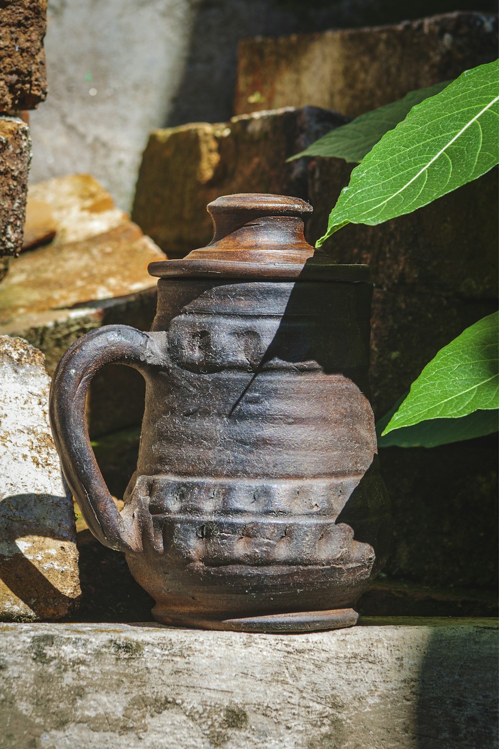 a teapot sitting on a ledge next to a plant