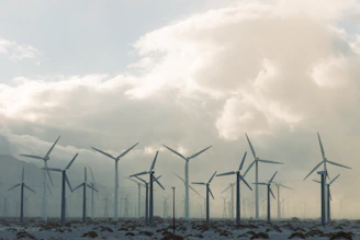 Gleam Advisory-power sector client overview