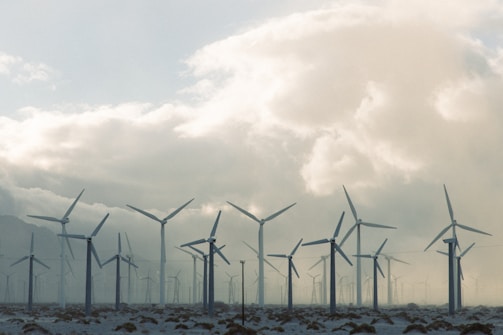 A wind turbine field with technicians performing maintenance work.