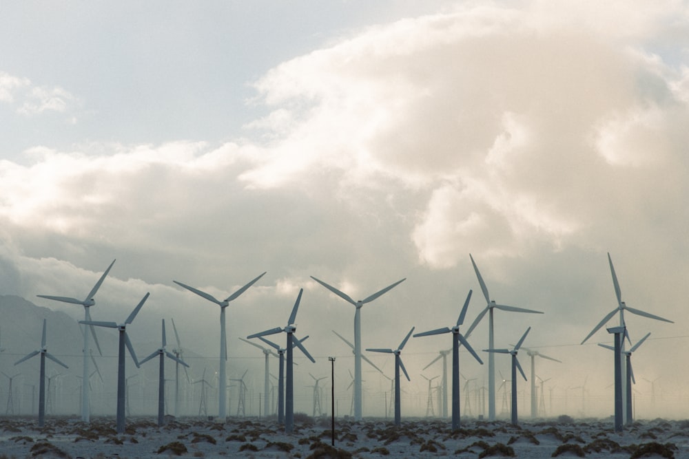 a large group of windmills on a cloudy day