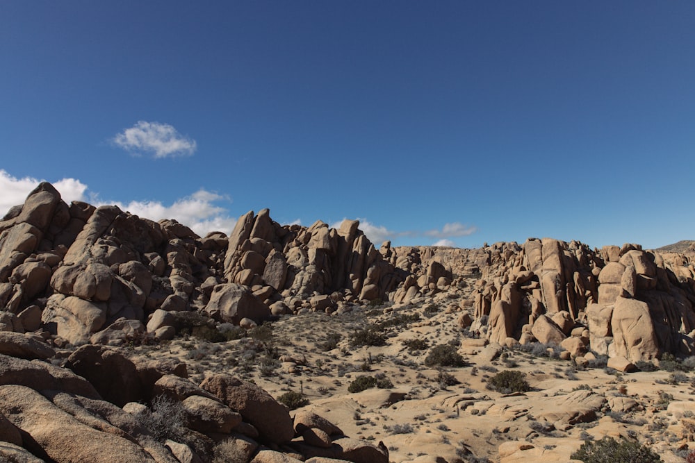 a large group of rocks in the middle of a desert