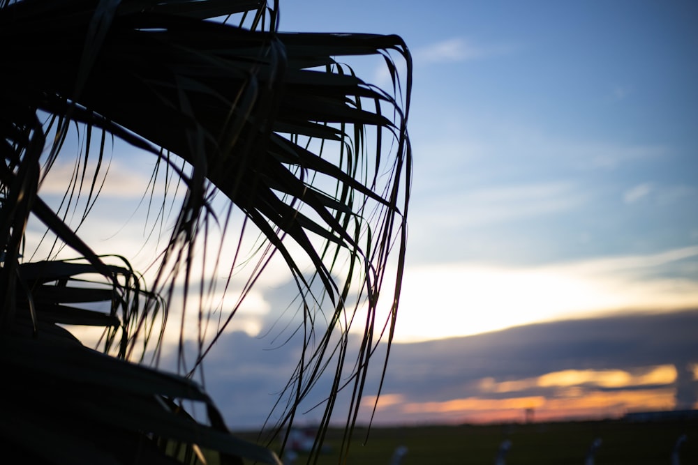 un coucher de soleil sur un plan d’eau