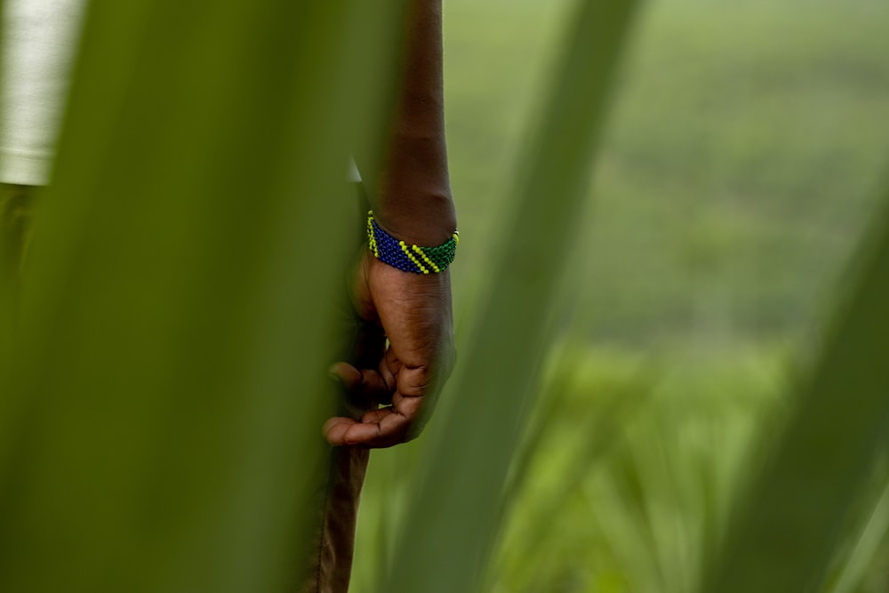 a person holding onto a green plant in a field