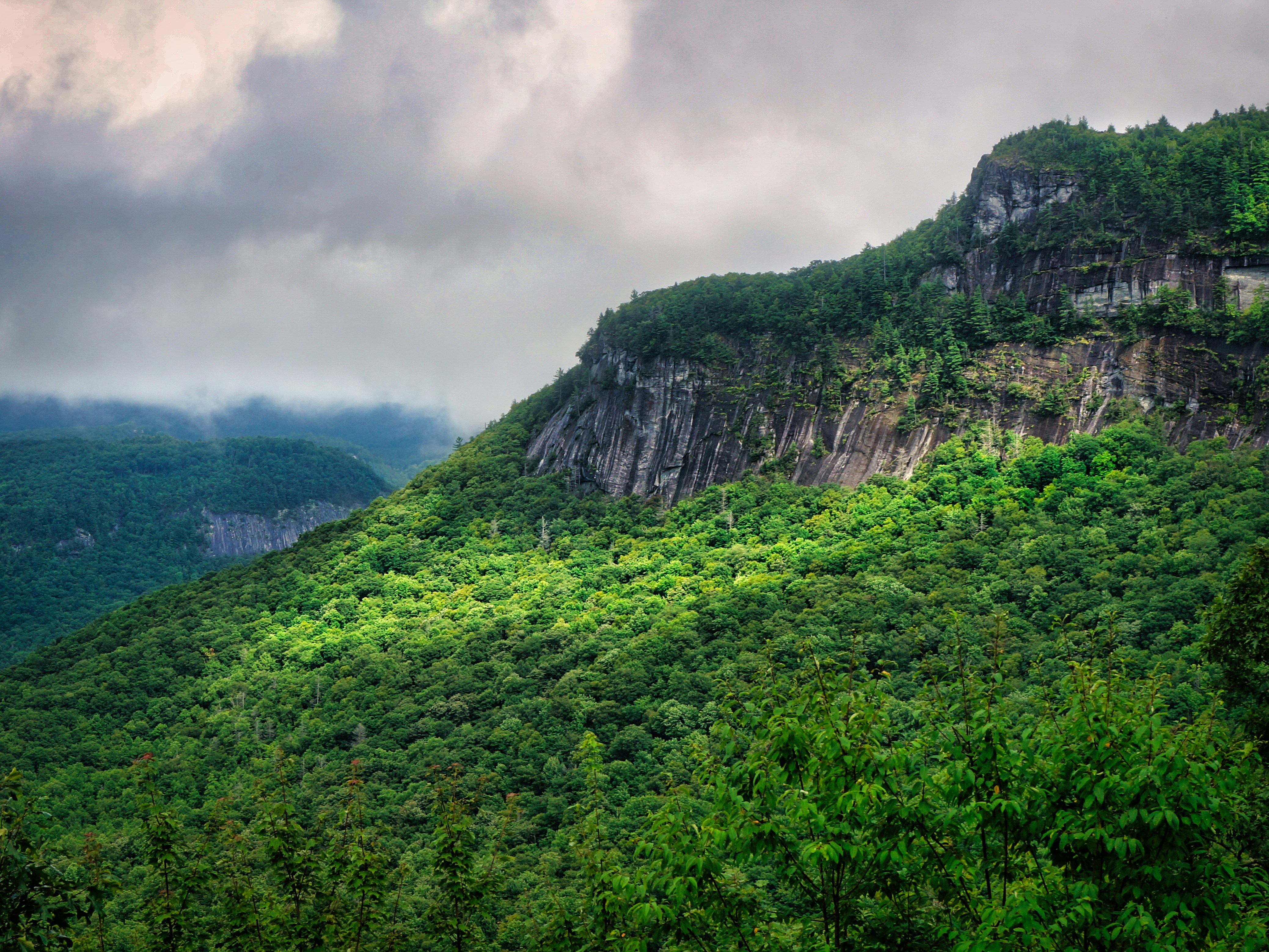 a lush green hillside covered in trees under a cloudy sky
