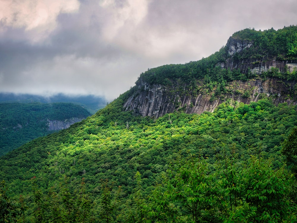 a lush green hillside covered in trees under a cloudy sky