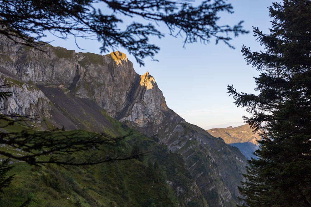 una vista di una montagna con alberi e montagne sullo sfondo