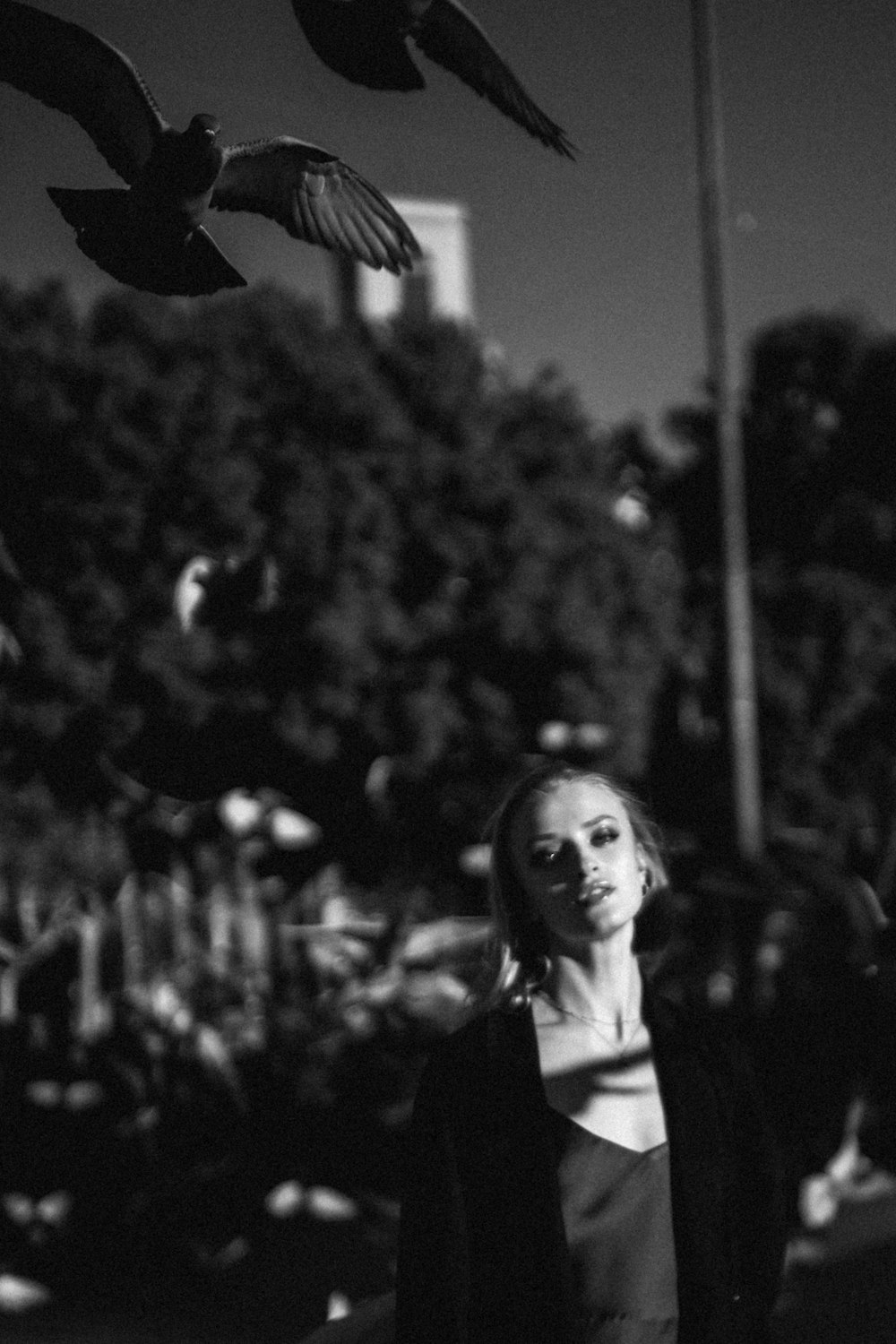 a black and white photo of a woman and birds