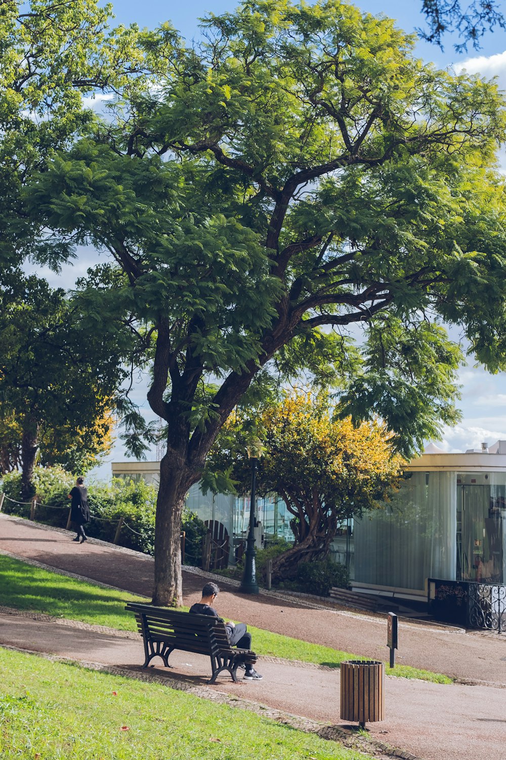 a man sitting on a park bench under a tree