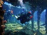 Two scuba divers explore an underwater structure, likely a shipwreck or a coral-covered framework. Sunlight filters through the water, casting a serene glow on the scene. The divers are equipped with scuba gear including tanks, masks, and fins.