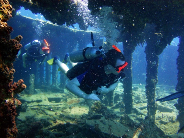 Two scuba divers explore an underwater structure, likely a shipwreck or a coral-covered framework. Sunlight filters through the water, casting a serene glow on the scene. The divers are equipped with scuba gear including tanks, masks, and fins.