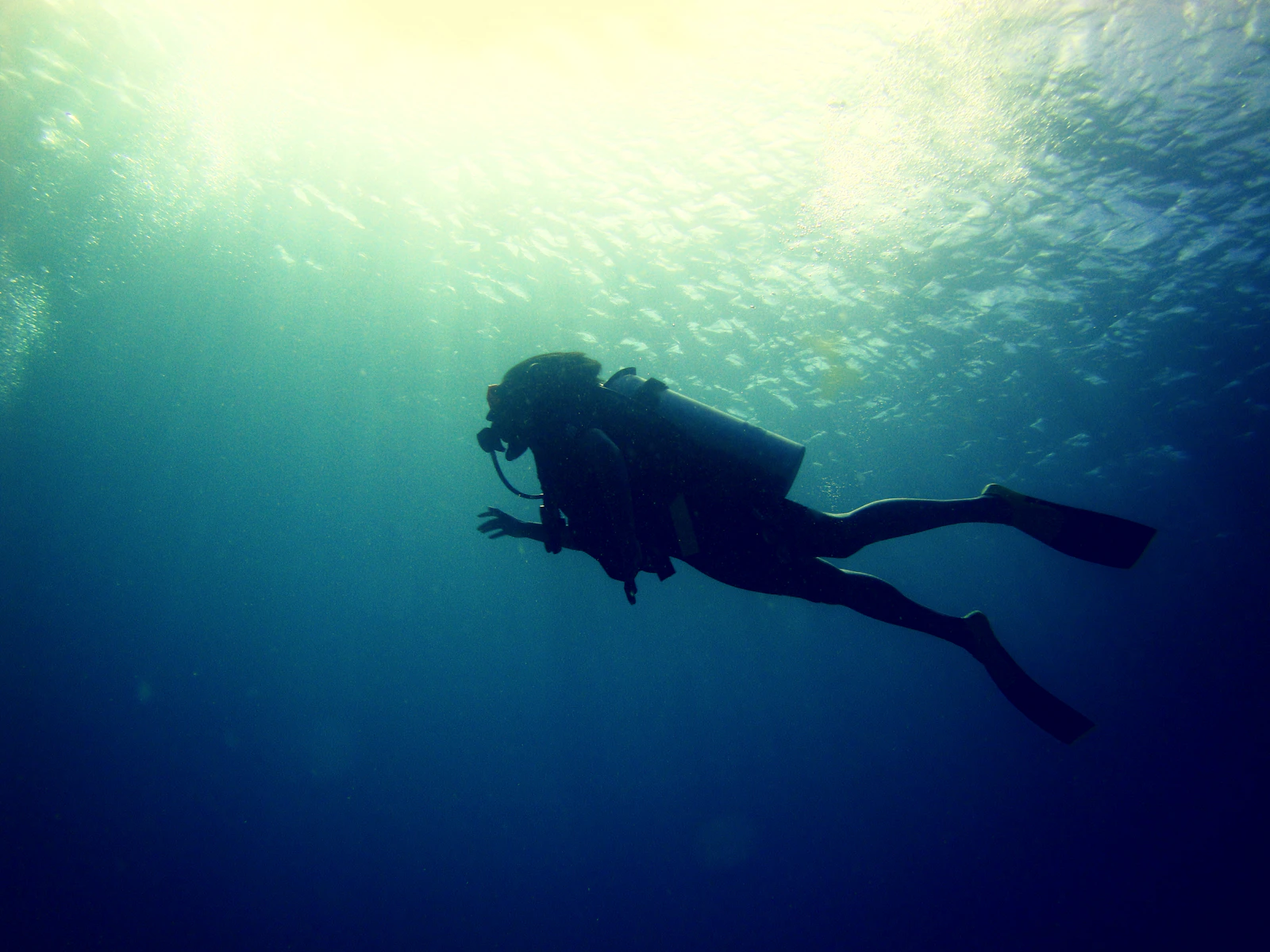 A diver in a scuba suit swimming in the open ocean