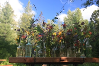 Close-up of colorful Bach flower remedies arranged on a wooden table.