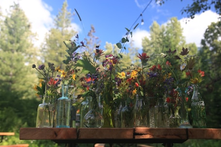 Close-up of colorful Bach flower remedies arranged on a wooden table.