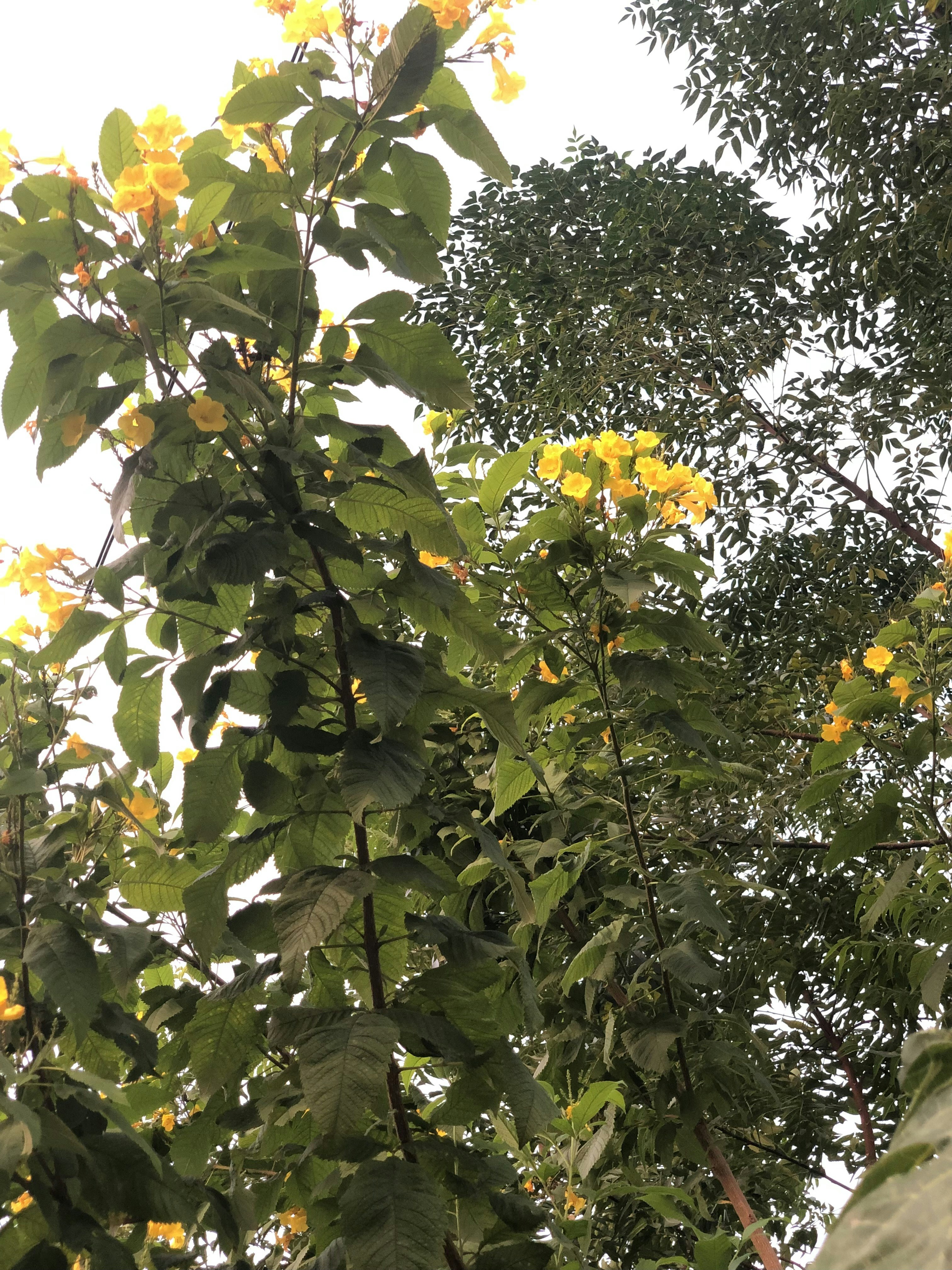 Photo by salmankhalid