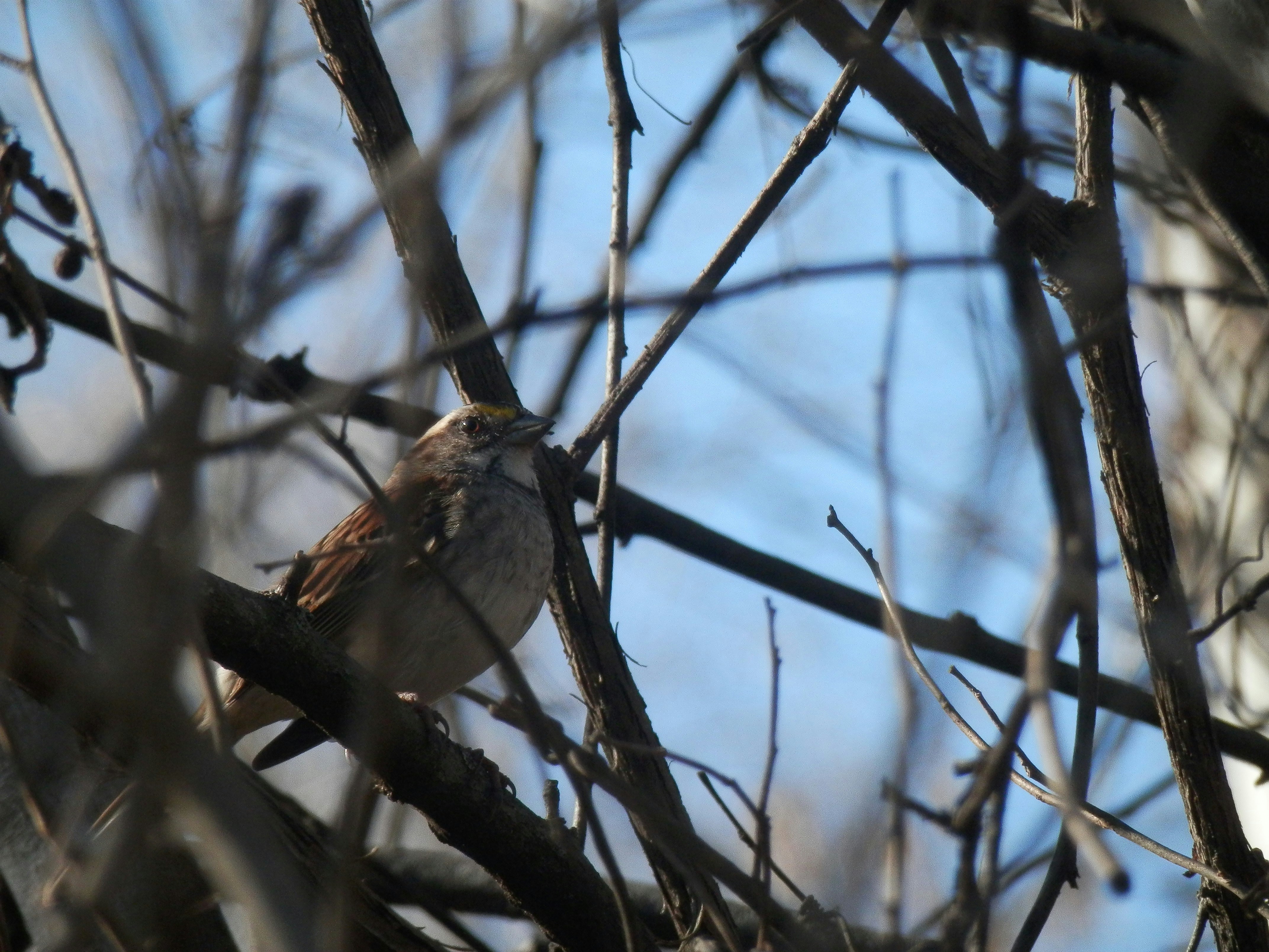 Photo by whereabouts