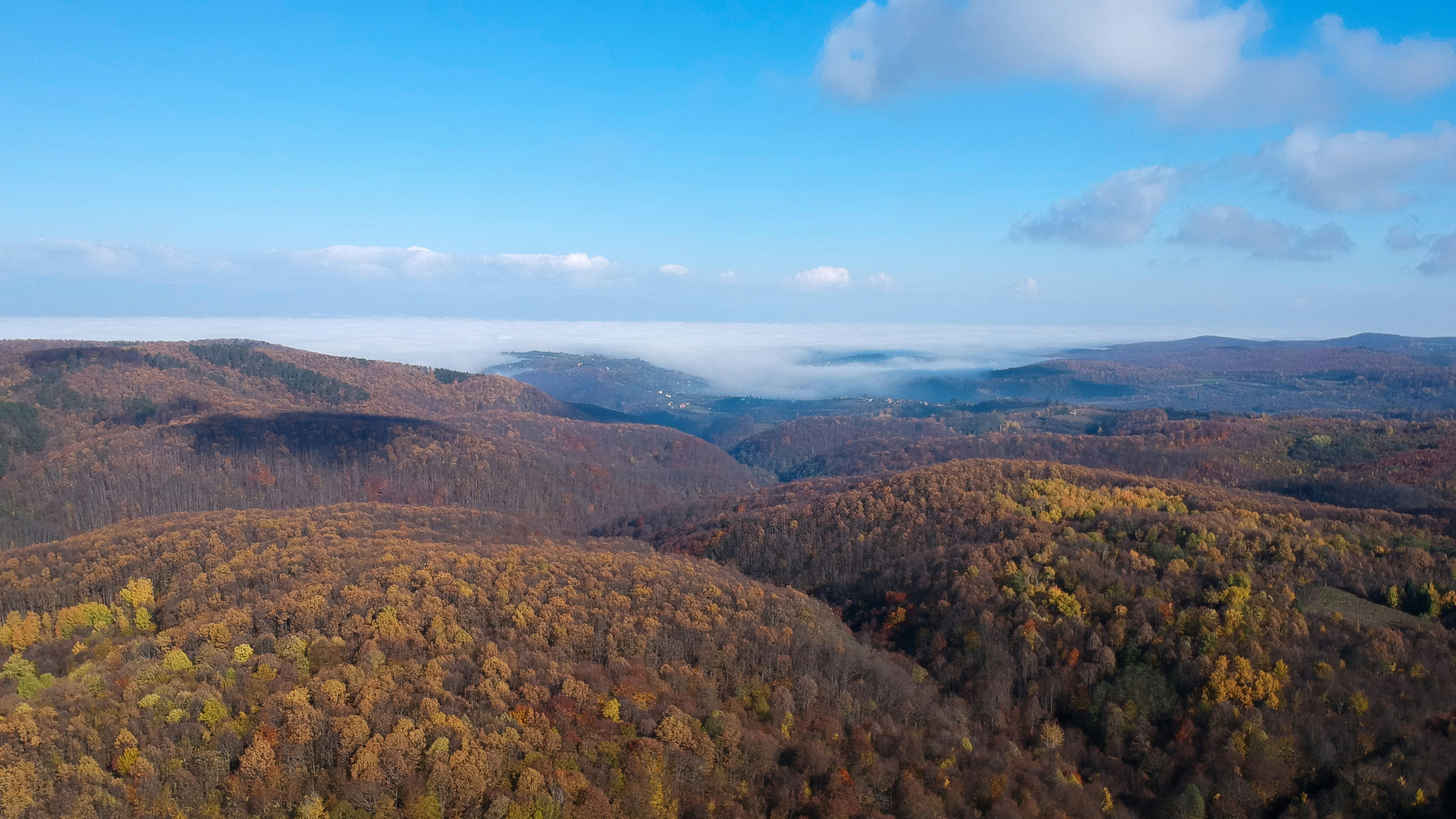 Photo by vjeblackbirdlion