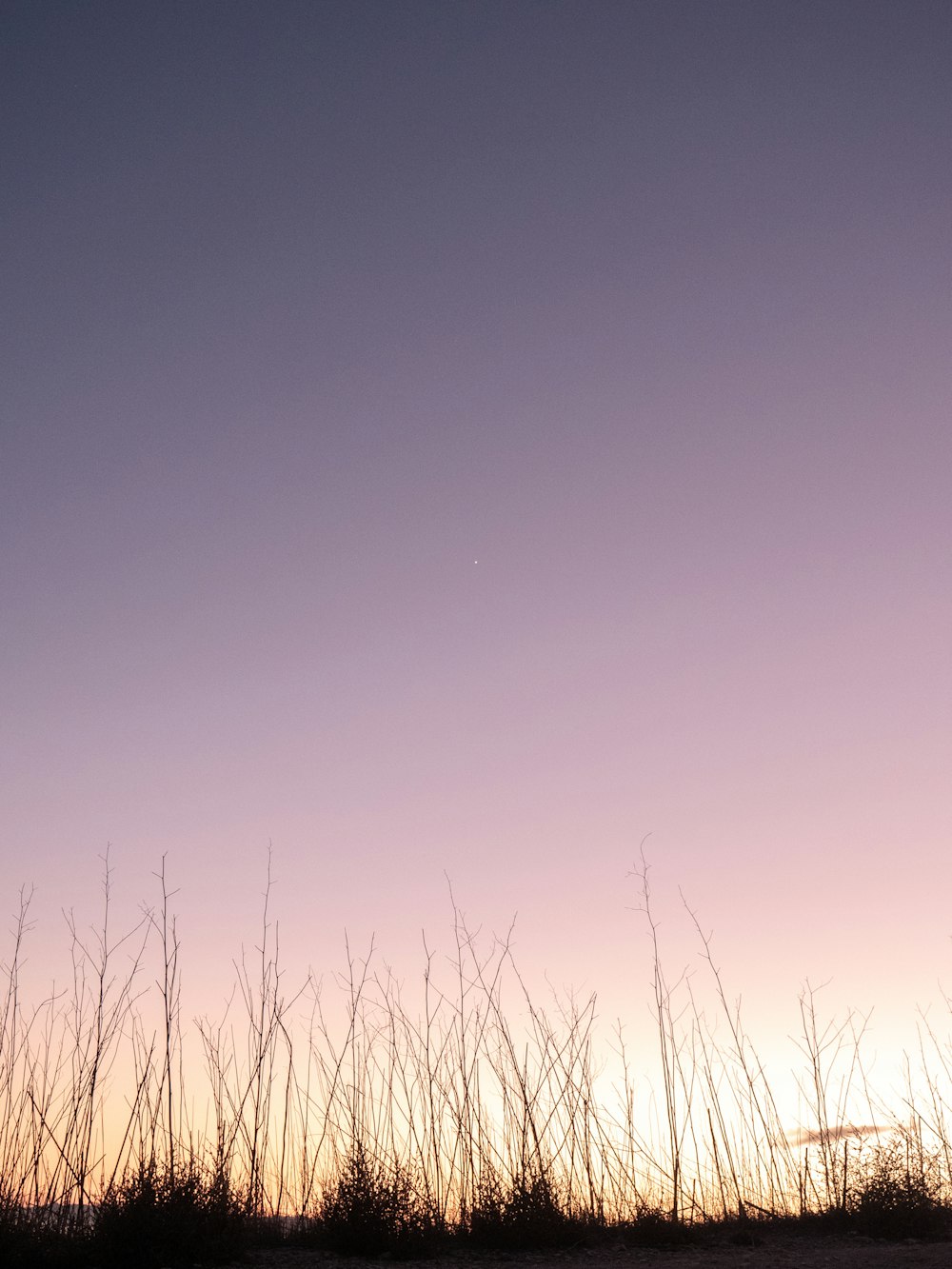 a person flying a kite in a field at sunset