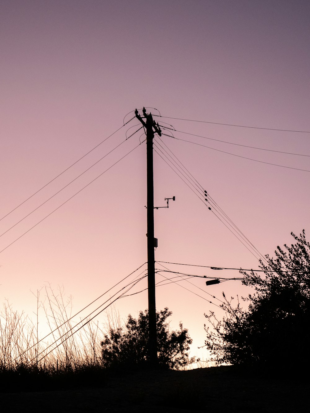 a telephone pole in the middle of a field