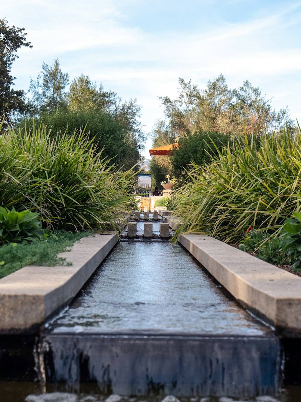 Un pequeño canal que atraviesa un exuberante parque verde