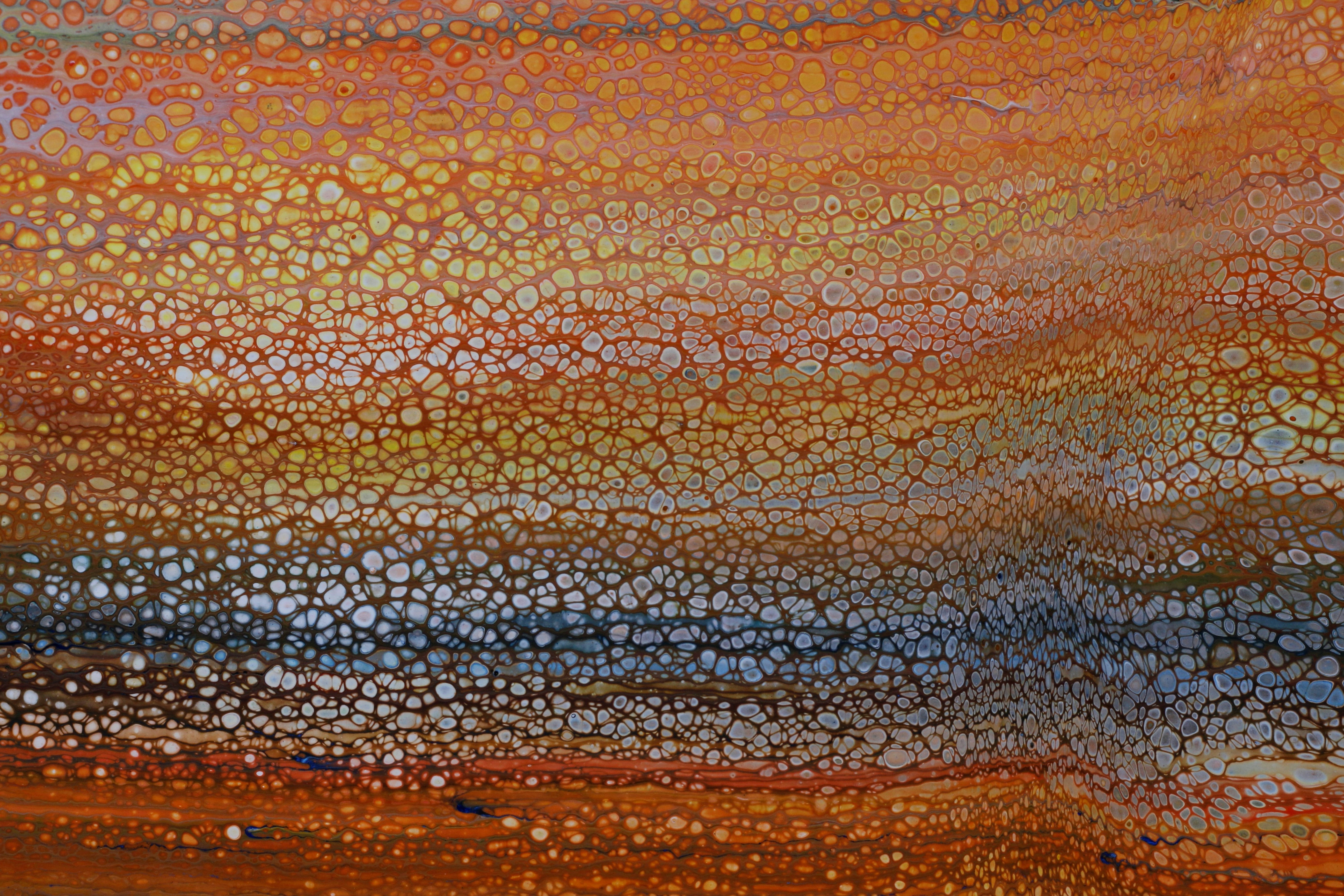 Photo by susan_wilkinson