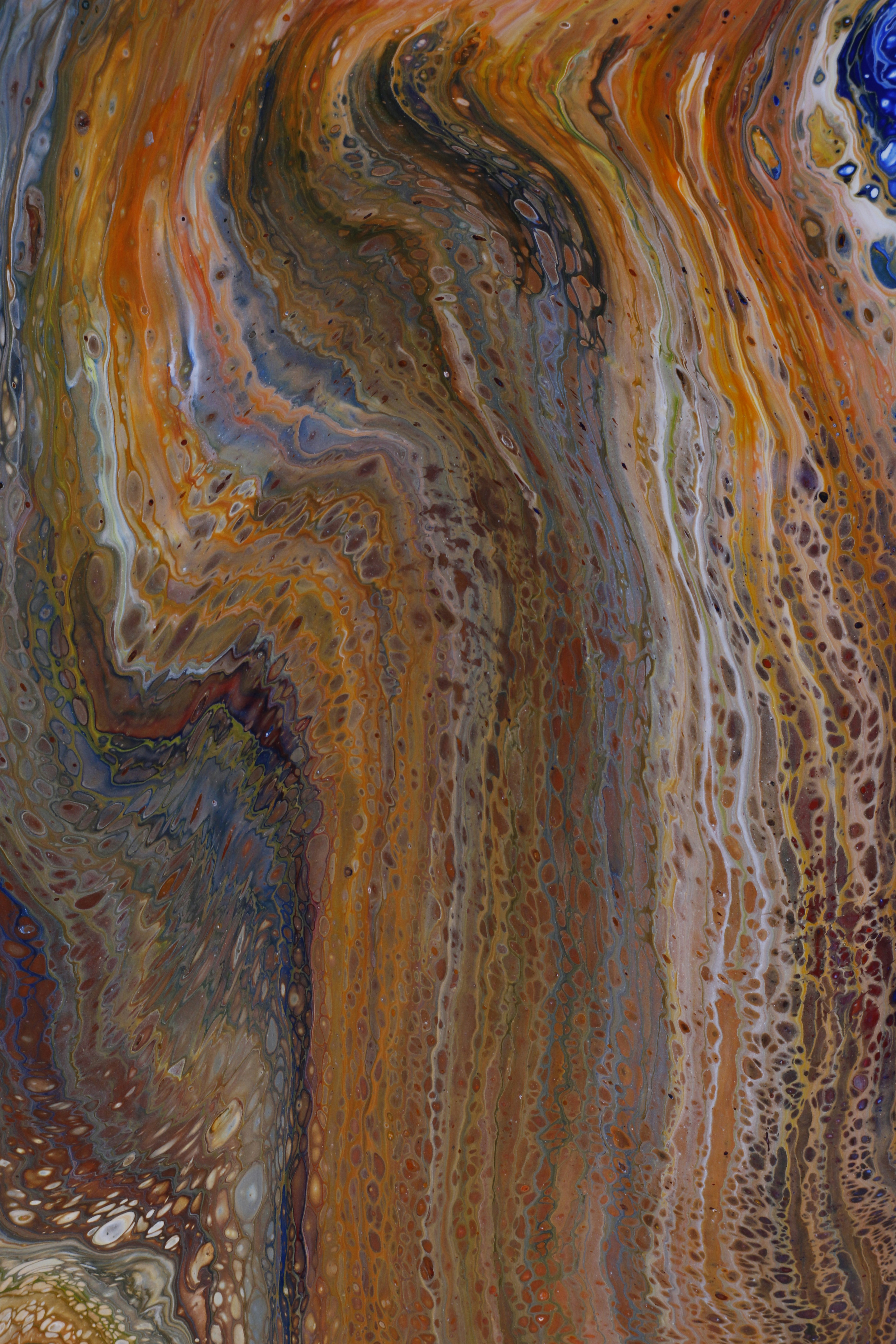 Photo by susan_wilkinson