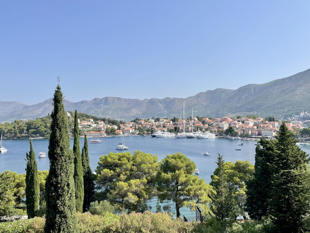 a view of a harbor with boats in the water