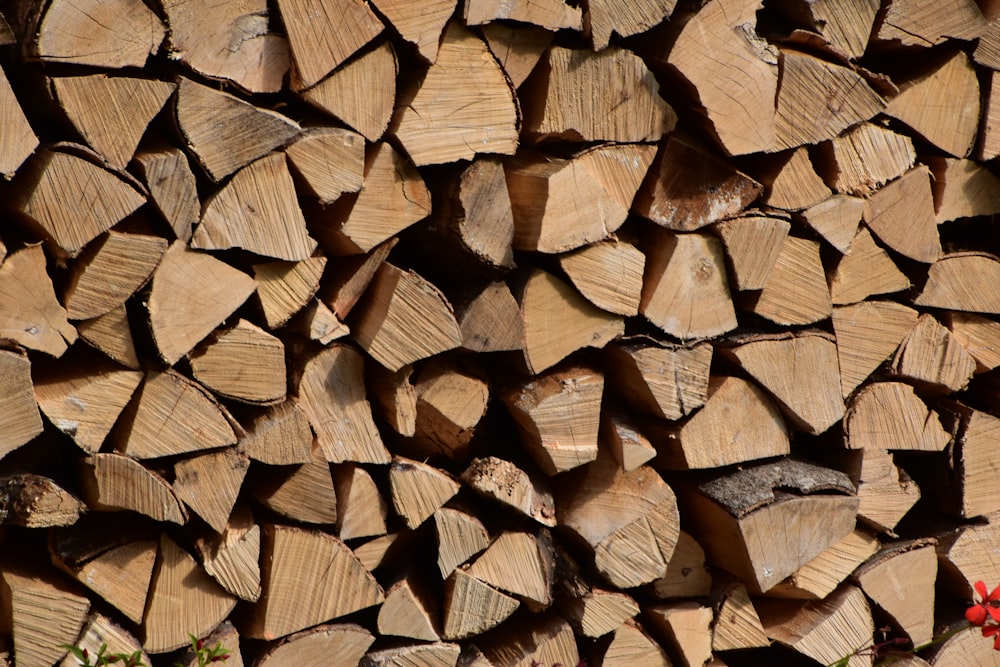 a pile of wood with a red flower in the foreground