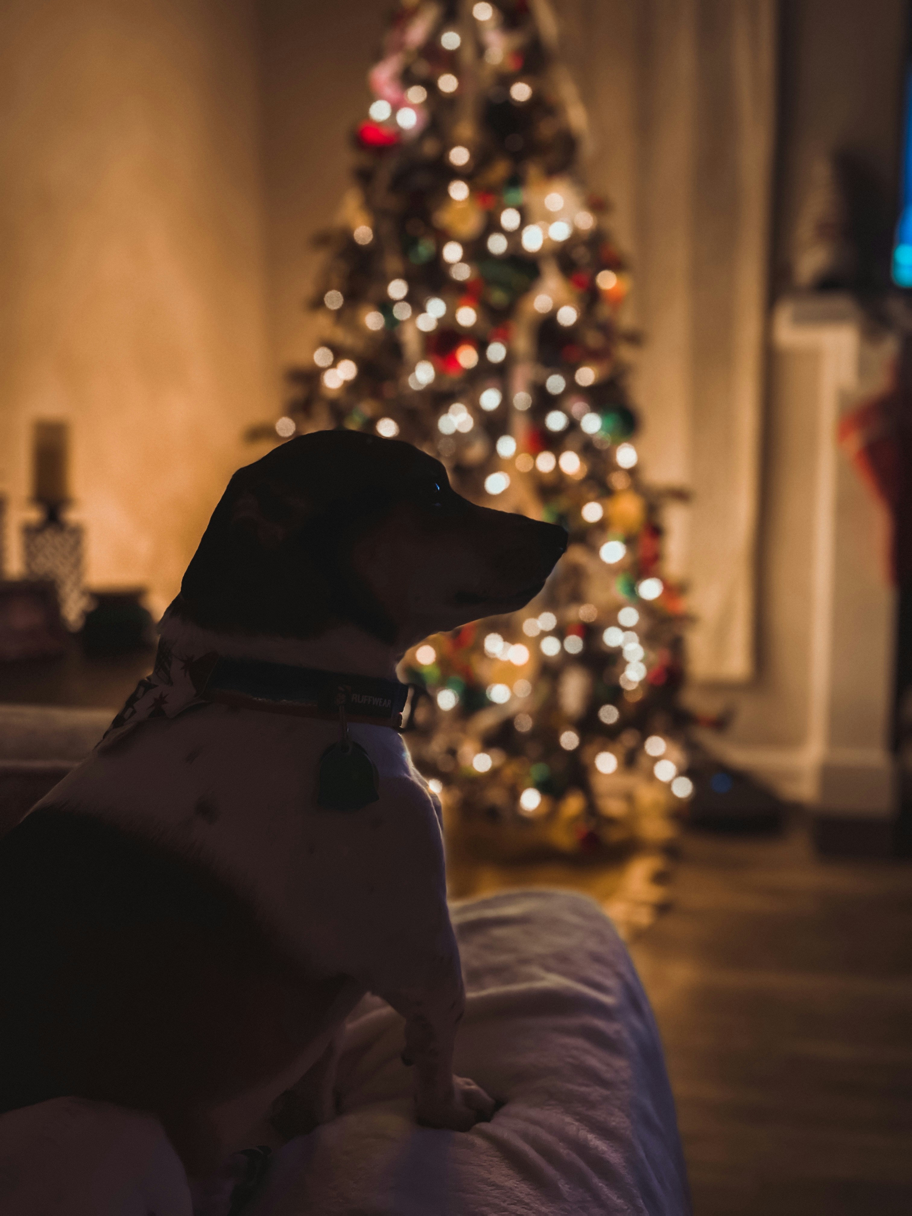 Photo by caseycalhoun