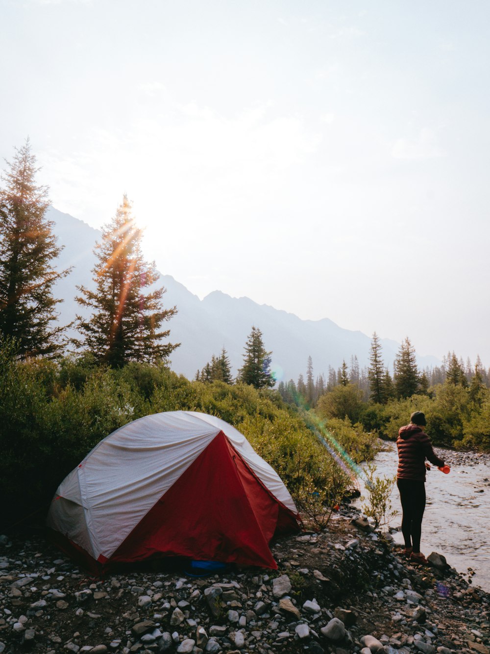 a tent in a forest