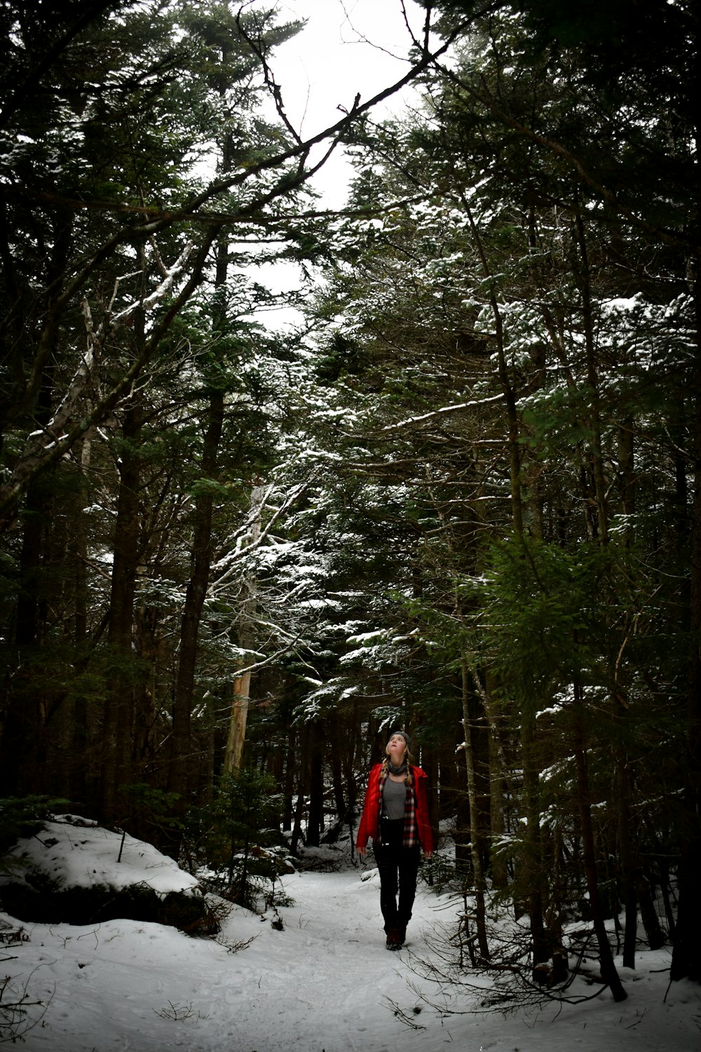 森の中の雪の中を歩く人