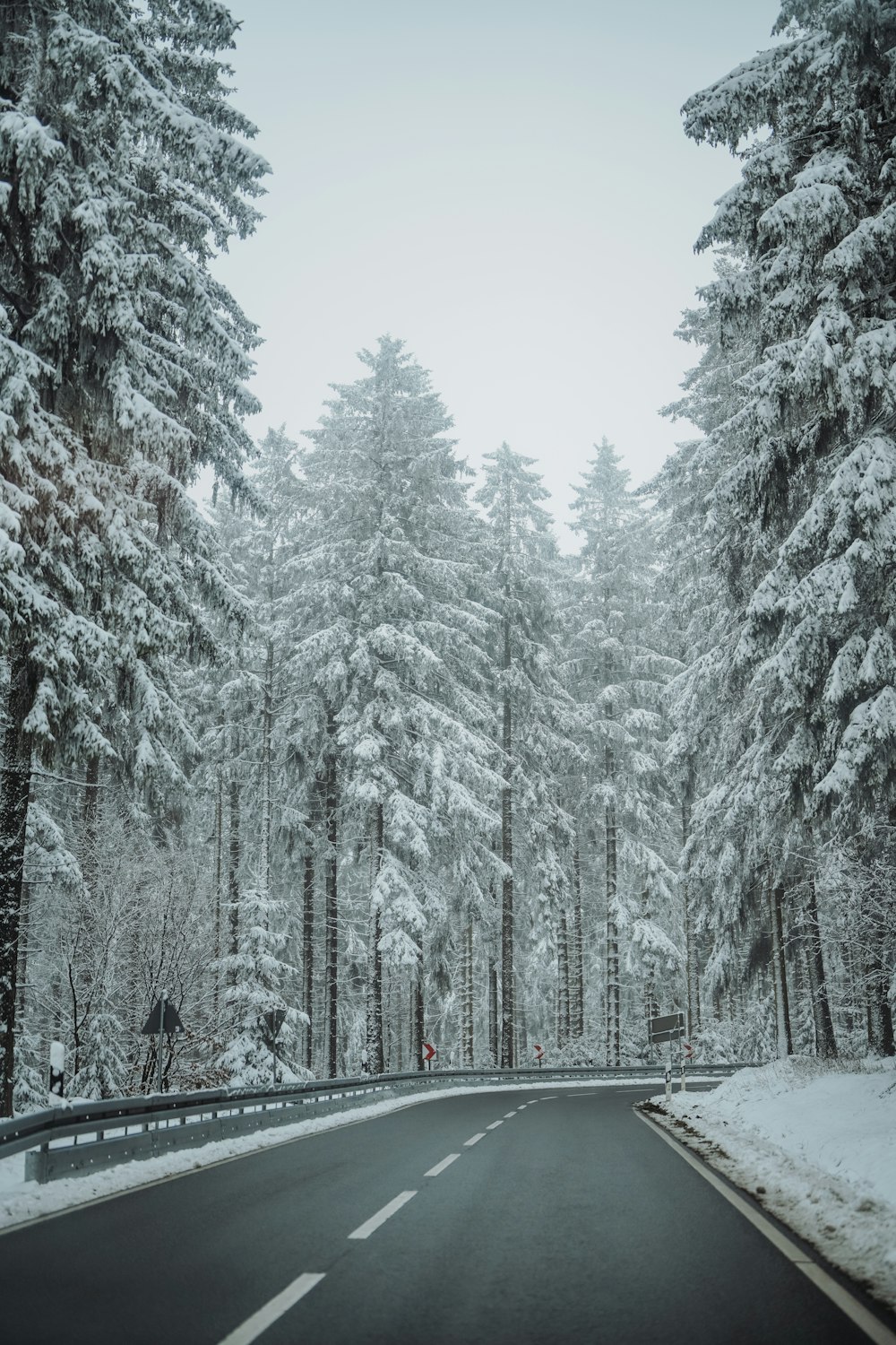 a road in the middle of a forest covered in snow