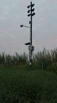 A tall, metal structure equipped with multiple security or surveillance cameras is standing in a field of tall grass and plants. The sky is overcast with scattered pinkish clouds, suggesting an early morning or evening setting.