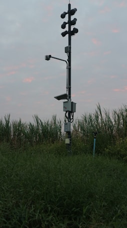 A tall, metal structure equipped with multiple security or surveillance cameras is standing in a field of tall grass and plants. The sky is overcast with scattered pinkish clouds, suggesting an early morning or evening setting.