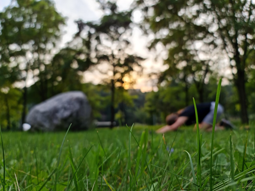 a person laying in the grass with a rock in the background