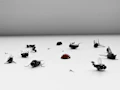 Wasp pest type icon