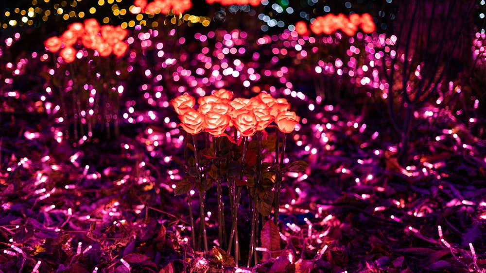 a bunch of flowers that are in the grass