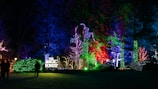 A vibrant display of colorful lights illuminates a forest setting at night. Neon hues of green, blue, red, and purple wrap around trees and foliage, creating a magical atmosphere. A sign reading 'The Magic Forest' is prominently featured, surrounded by glowing lights. Silhouetted figures are visible, walking through the scene.