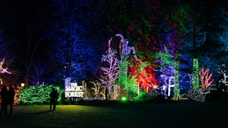 A vibrant display of colorful lights illuminates a forest setting at night. Neon hues of green, blue, red, and purple wrap around trees and foliage, creating a magical atmosphere. A sign reading 'The Magic Forest' is prominently featured, surrounded by glowing lights. Silhouetted figures are visible, walking through the scene.
