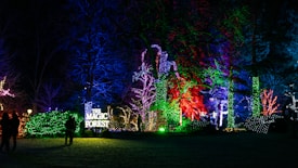 A vibrant display of colorful lights illuminates a forest setting at night. Neon hues of green, blue, red, and purple wrap around trees and foliage, creating a magical atmosphere. A sign reading 'The Magic Forest' is prominently featured, surrounded by glowing lights. Silhouetted figures are visible, walking through the scene.