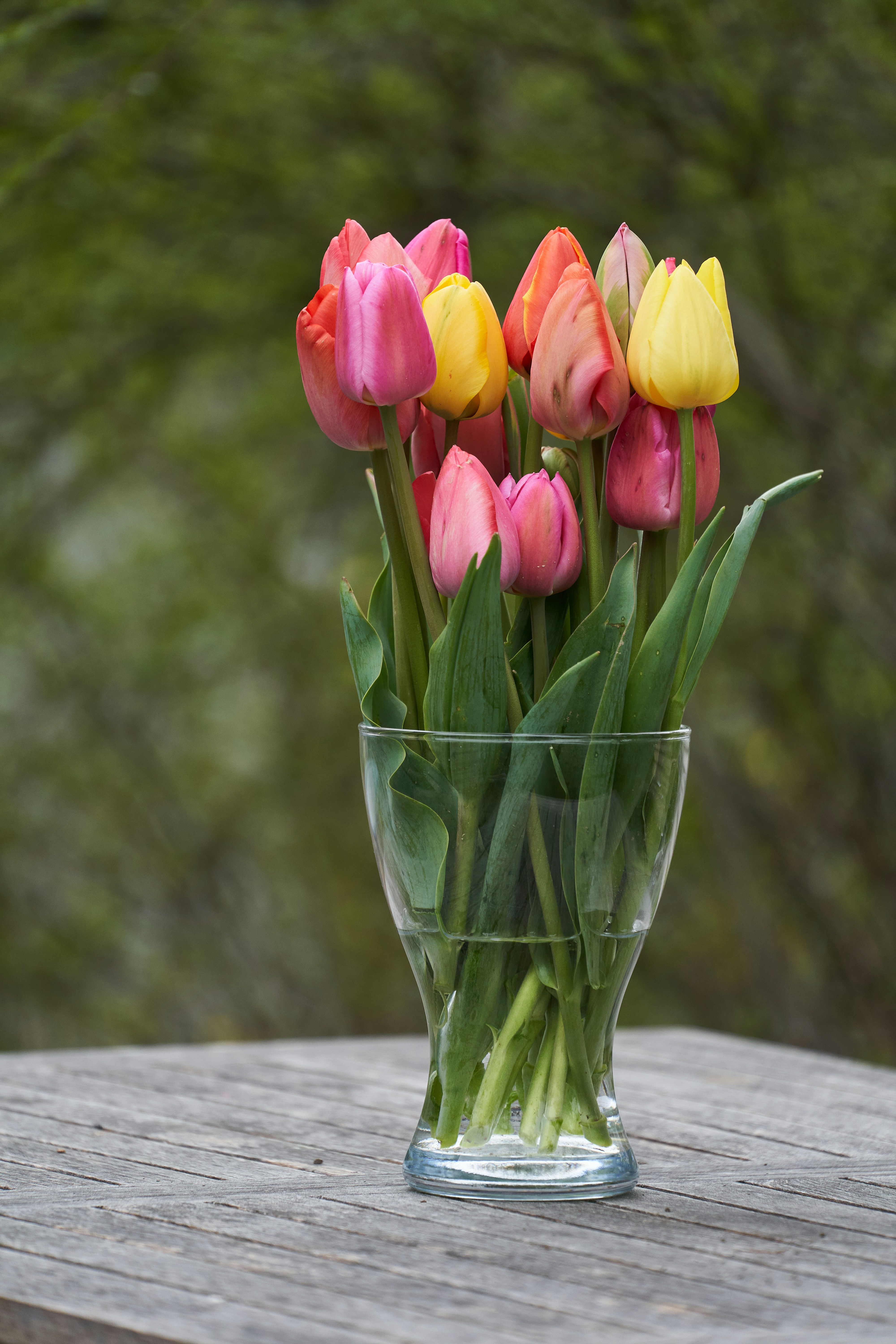 Photo by wolfgang_hasselmann